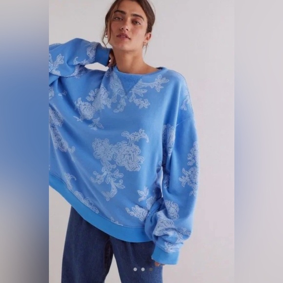 NWT We the Free Classic Oversized Crewneck Pullover - Picture 1 of 8